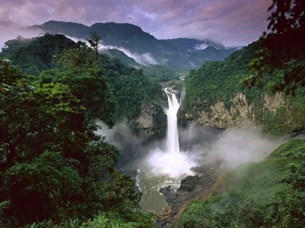 SAVE THE AMAZON RAINFOREST.