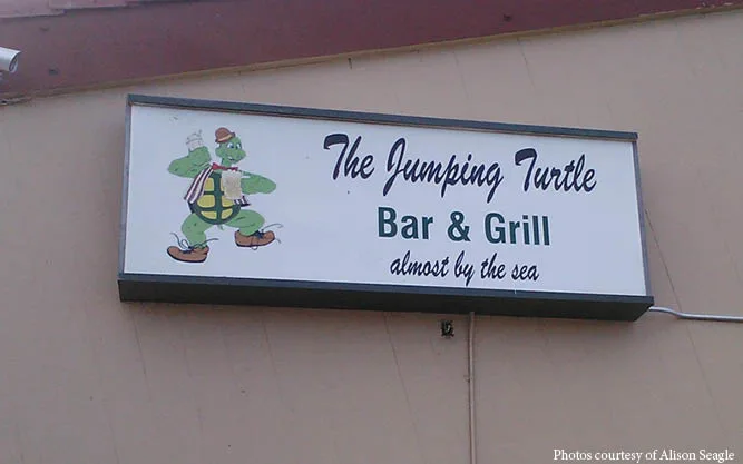 Save The Jumping Turtle!