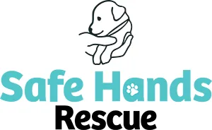 Keep Paco In Safe Hands!