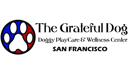 San Francisco Dog Care business that cares for First Responders' dogs needs your support