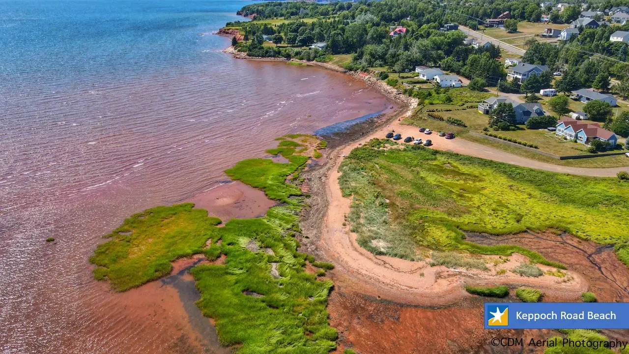 Stop closure of Front Beach Access Road