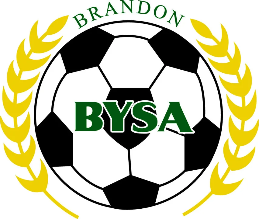 Petition to hold a special meeting of the BYSA general membership in August 2018