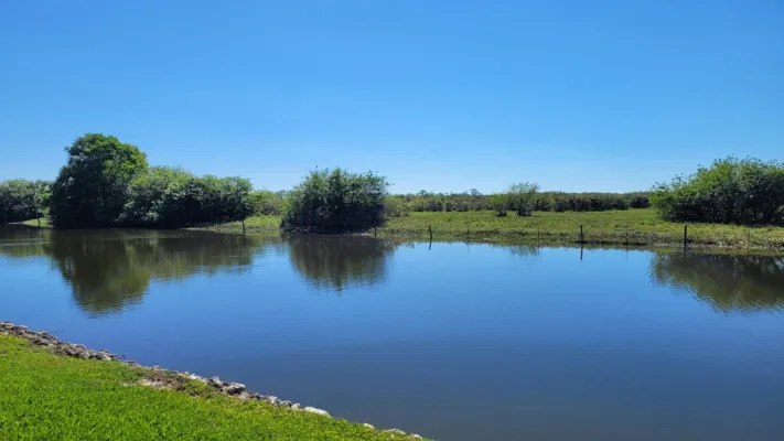 USACE & USFWS -- PLEASE UPHOLD AND ENFORCE CONSERVATION COVENANT ON SECTION 29, NAPLES FL
