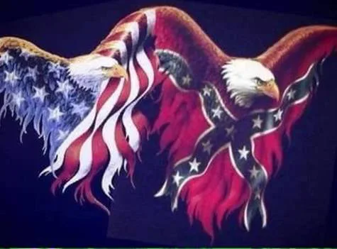 heritage not hate.....save our flag