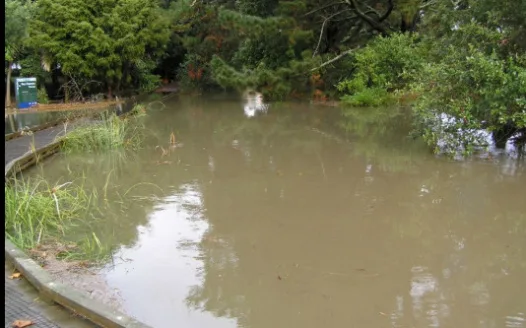 Fresh Water Quality NZ