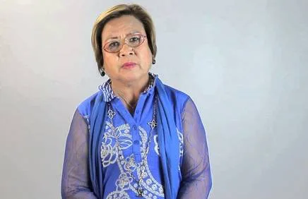 Calling on the European Parliament to STOP interfering with Philippine Justice and Internal Affairs