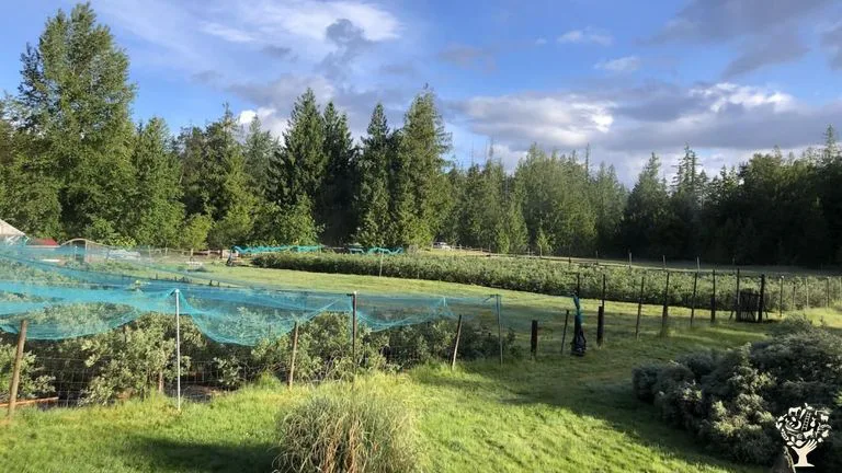 Do not cut another road through Formosa Nursery, an organic blueberry farm