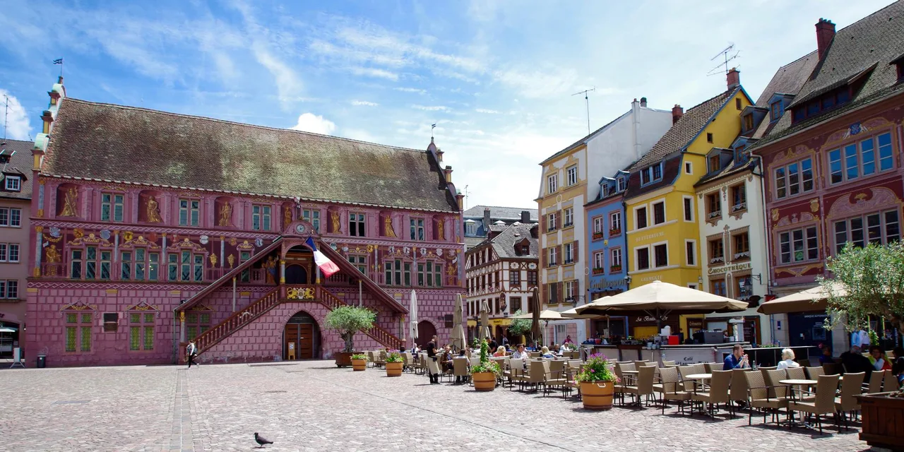 Killerpilze In Mulhouse