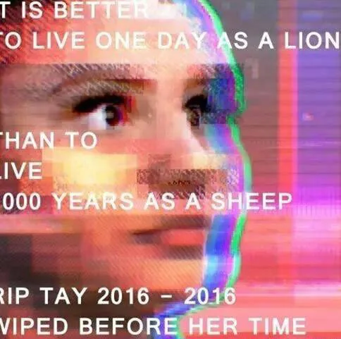 Make Tay Great Again