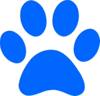 Reinstate Dr. Maluchnik at WHSD and Investigate Finances