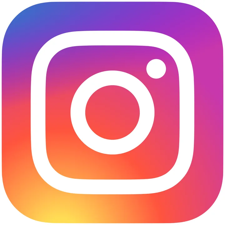Instagram wont give my account back