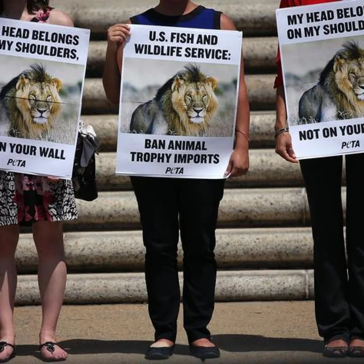 Stop Trophy Hunting In Africa