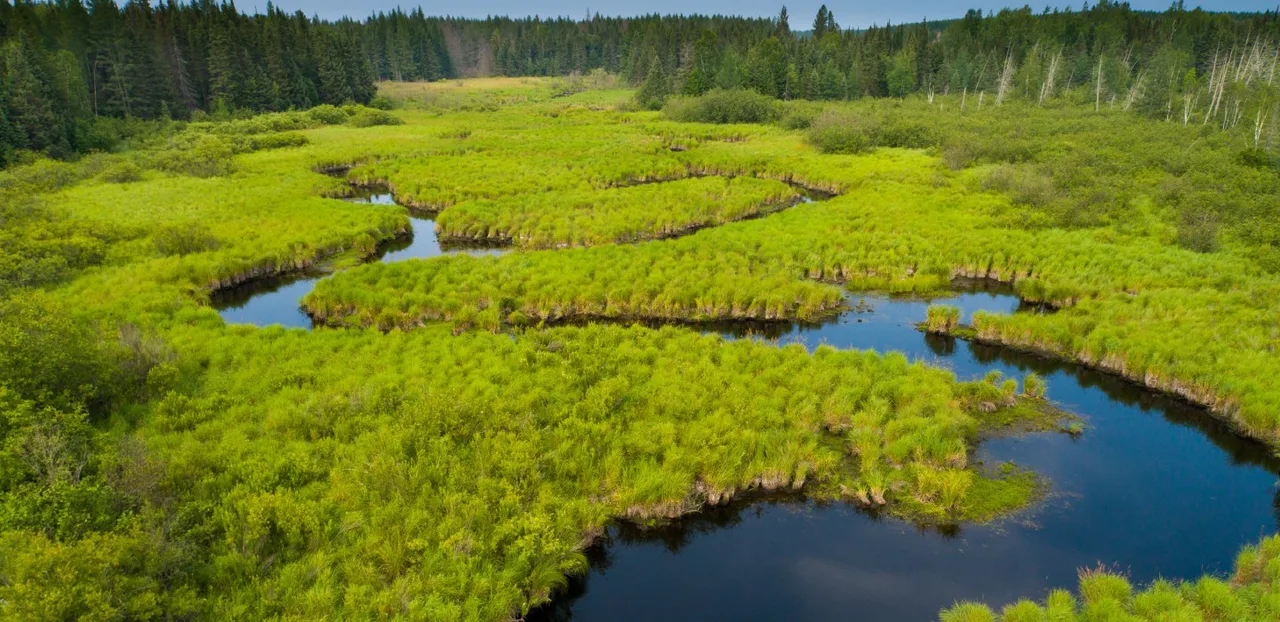Say NO to Shadow Wood Landing rezone