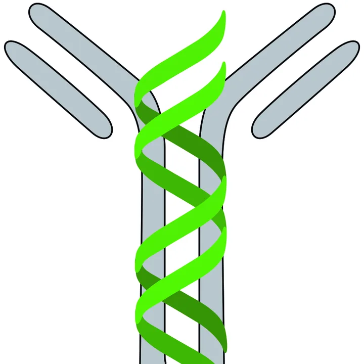 Canadian Lyme Science Alliance
