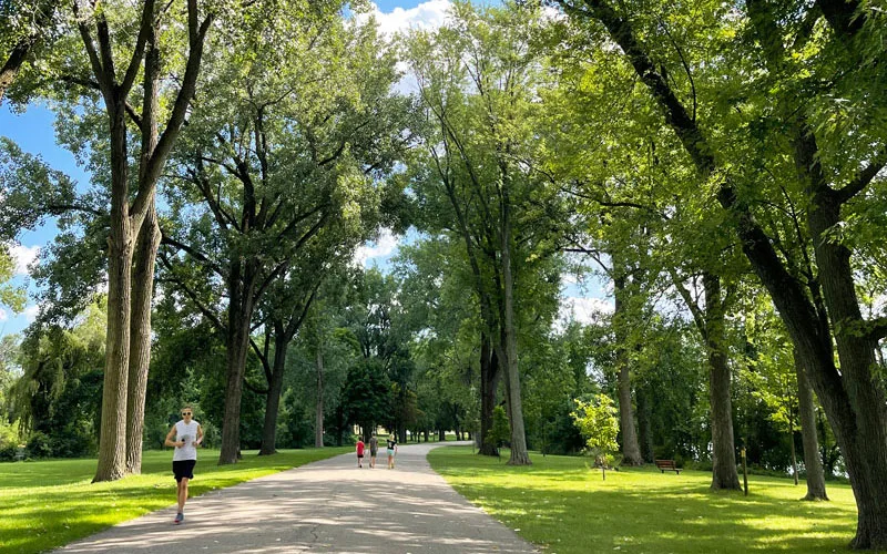 Accept the grant to refurbish Centennial Park!