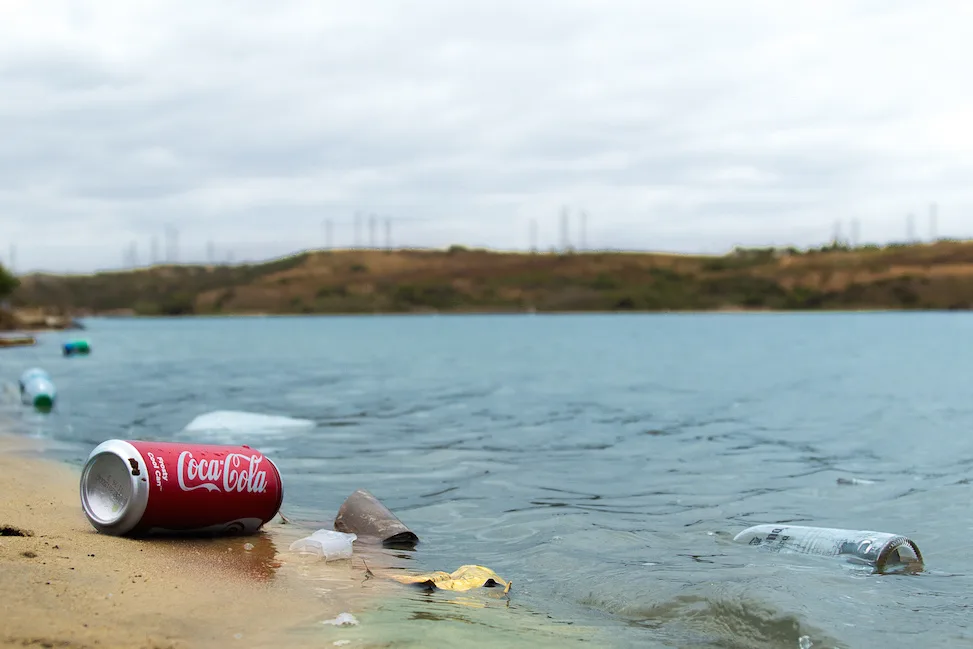 Protect Our Lagoon and Neighborhood