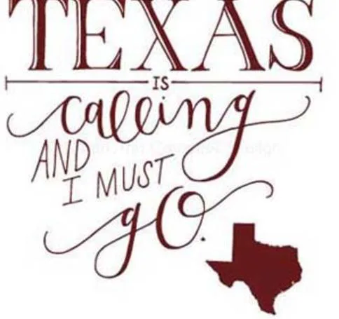 Bring ICES CONVENTION back to Texas for 2020