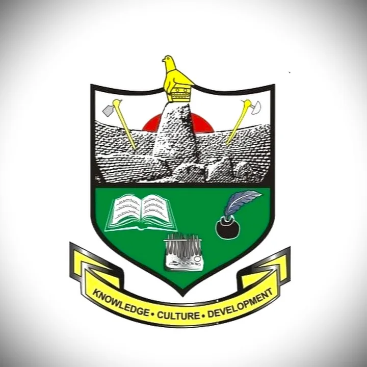 Challenging Great Zimbabwe University SRC elections results