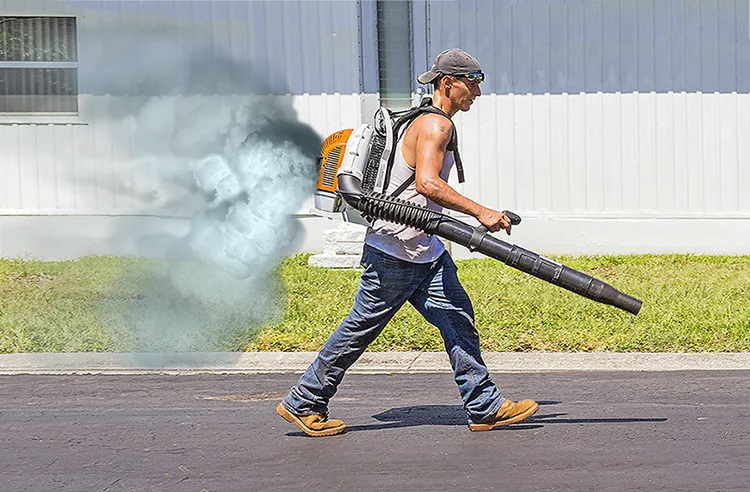 Ban The Leaf Blowers in Las Vegas, Green Valley & Summerlin