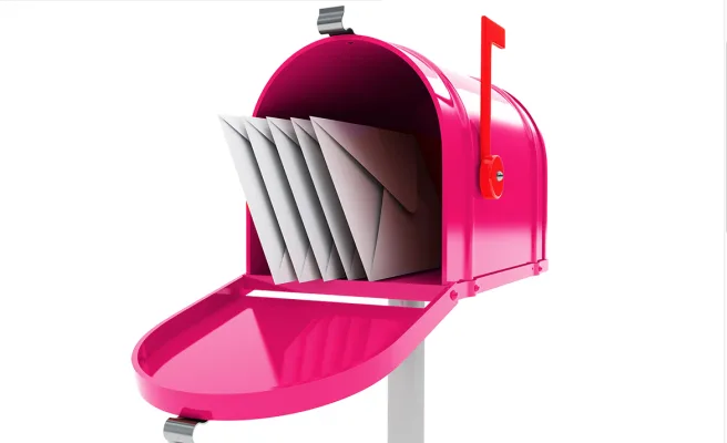 Fuchsia Mailbox