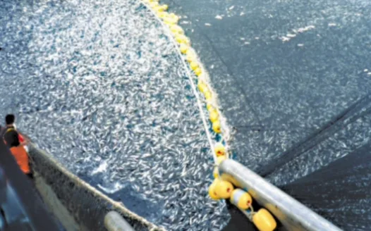 Free our Oceans