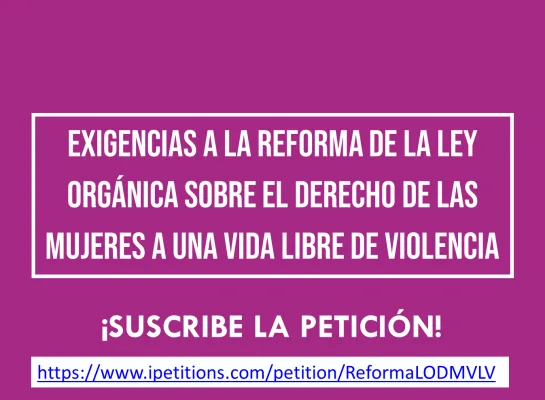 Reforma de la Ley Orgánica sobre el Derecho de las Mujeres a una Vida Libre de Violencia -