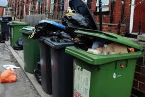 No to Three Weekly Bin Collections in Somerset -  Somerset County Council reconsider the plans before they start in Autumn 2017