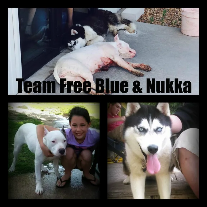 TEAM FREE NUKKA- Signatures Accepted at Blue's page.. Link in description. 