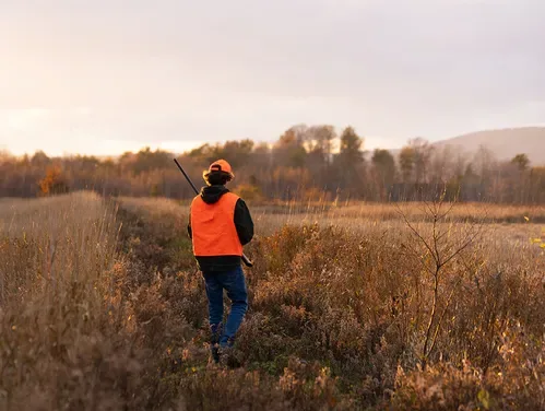 Dove Hunting Iowa