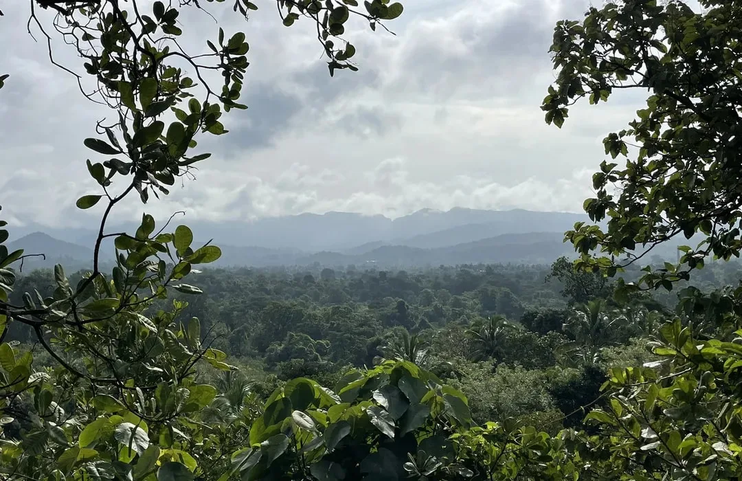 Mhadei Tiger Reserve Local Support