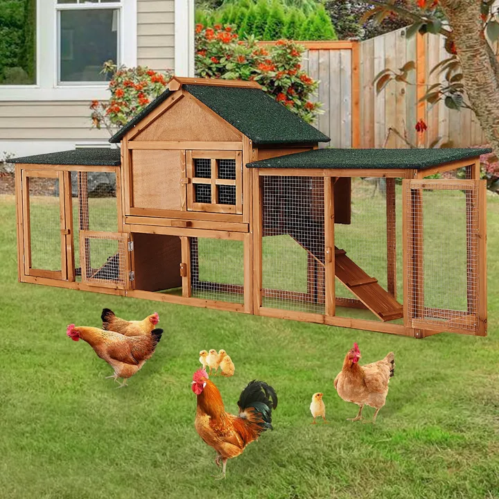 LET SUNNY KEEP CHICKENS IN THE GARDEN!!!