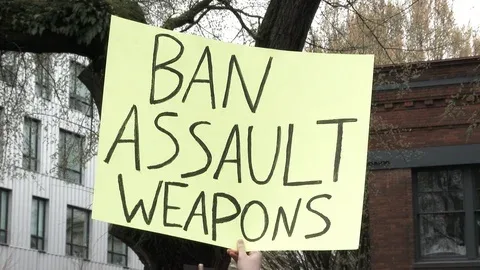 Gun Sanity Now!