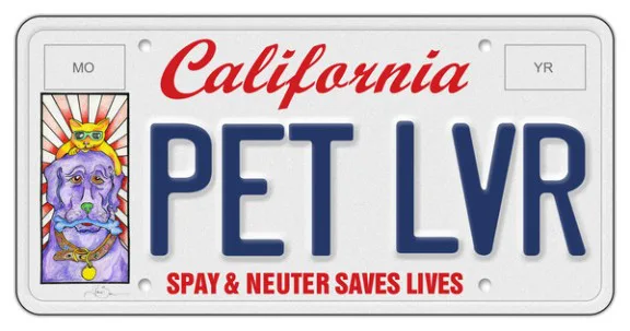 PAWS 4 A CAUSE LICENSE PLATE