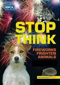 Stop personal fireworks in the city of Thunder Bay