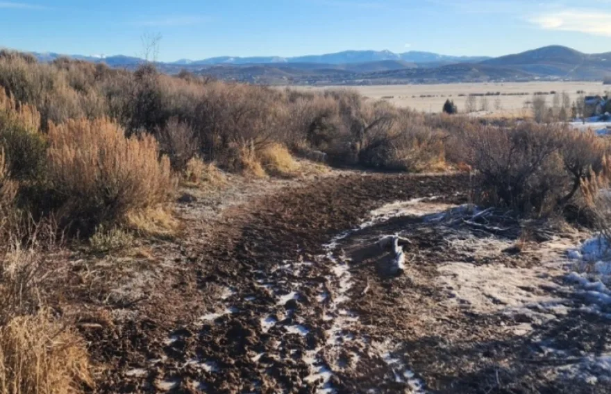 The Dog Park at Ewing Young Historical Park - new surface petitioned