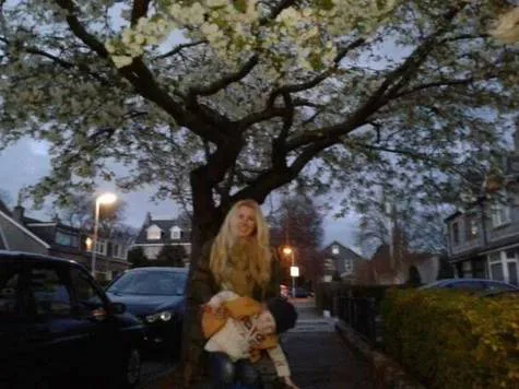 SAVE OUR CHERRY TREES