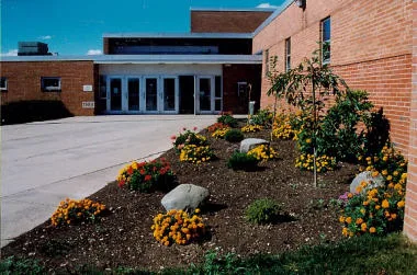 Stop the Oppression of the Arts at Montrose