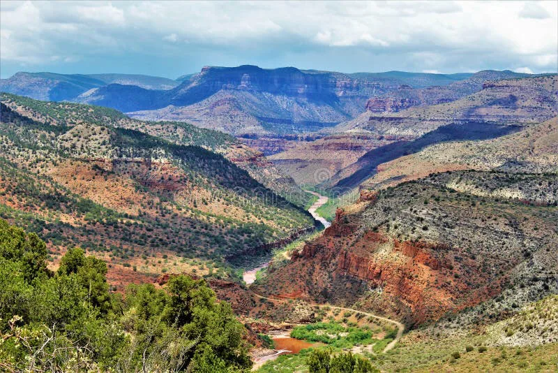 Save the Wild Horses of Tonto National Forest