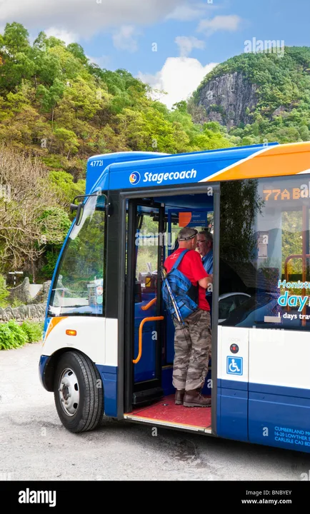 Petition to save Tigerline T2 bus service 