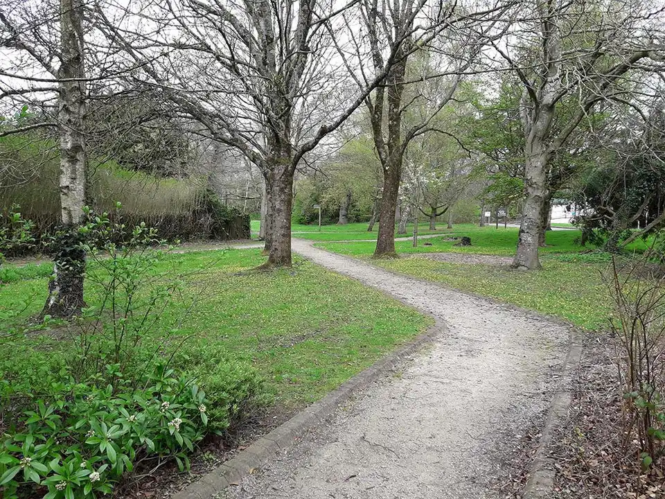 Stop the Proposed Development of Heath Park Woods