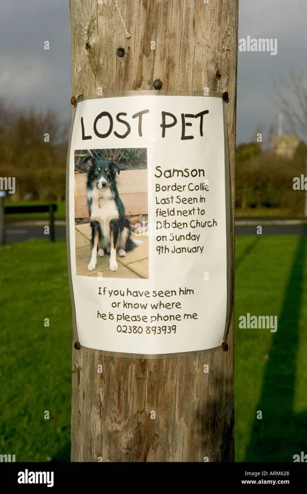 Justice for mutley