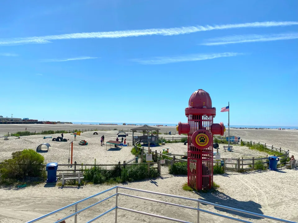Save Wildwood Dog Park