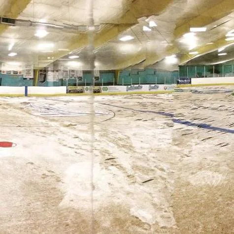 Help us get our ice back!