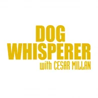 Help Dante get on the Dog Whisperer