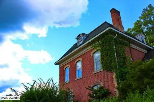 Save Branningham Grove!