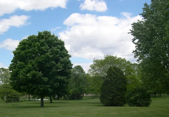 Install Disc Golf park at Johnson Creek Fireman's Park