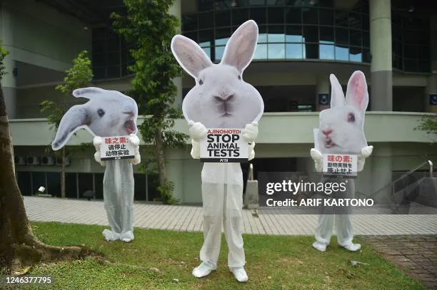 Save animals from being tested on!!