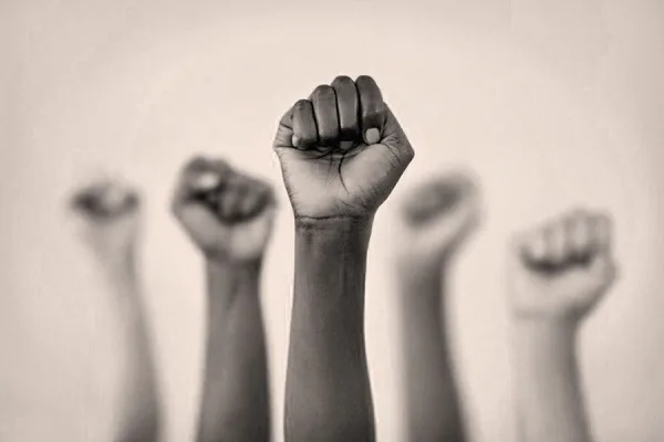 Help Us Create a Plan for Lasting Change at WebCo!