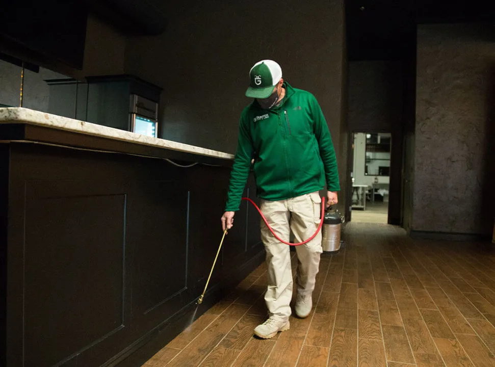 Spray apartment grounds for fleas