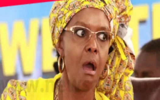 Grace Mugabe must be jailed.